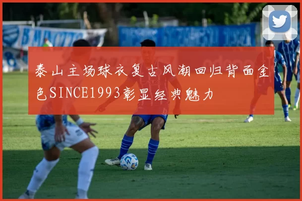 泰山主场球衣复古风潮回归背面金色SINCE1993彰显经典魅力